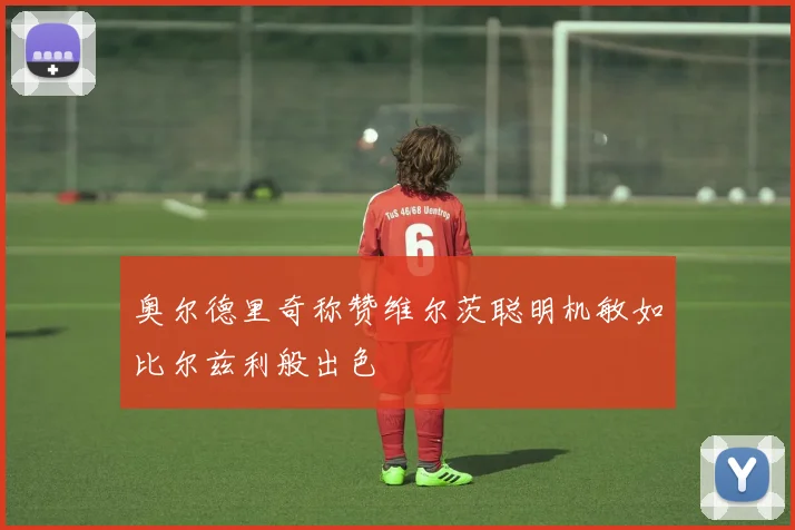 奥尔德里奇称赞维尔茨聪明机敏如比尔兹利般出色